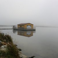 Утро туманное... :: Ольга Утро туманное... :: Ольга