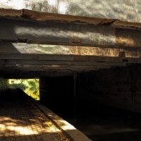 ***** :: юрий поляков