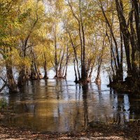 Осень :: Михаил Измайлов Осень :: Михаил Измайлов