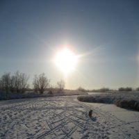 Утро :: Anna Ivanova