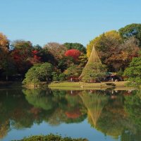 Японский сад Токио :: Civetta *** Японский сад Токио :: Civetta ***