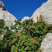 ЗАПАДНЫЙ КАВКАЗ. Пшехский водопад :: Tata Wolf