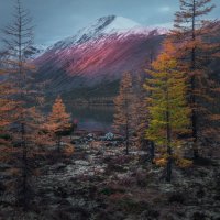 Ранним утром на озере :: Дмитрий Шишкин