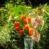 Сегодня день сравнялся с ночью и это интересно очень! :: veilins veilins