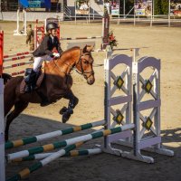 Это конкур :: Sergey 