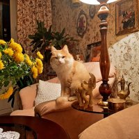 . :: РИТА ЛЕВКОВА