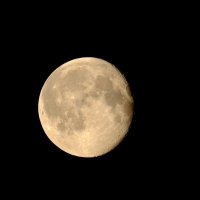 Полнолуние :: Андрей Зайцев