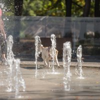 Осенний парк. Белгород :: Михаил 