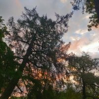 Рассвет :: Сапсан 