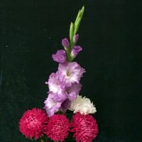 Всем Спокойной Ночи........................................... :: Владимир Павлов Всем Спокойной Ночи........................................... :: Владимир Павлов