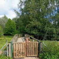 А туда я схожу без вас, я большая ) :: Veera V