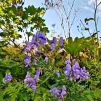 ЗАПАДНЫЙ КАВКАЗ. Пшехский водопад :: Tata Wolf ЗАПАДНЫЙ КАВКАЗ. Пшехский водопад :: Tata Wolf