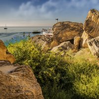 Берег :: Анатолий Чикчирный