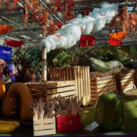 "Овощи гиганты" -выставка в Аптекарском огороде. :: Татьяна Помогалова