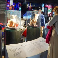 МУЗЕЙ_КОСМОНАВТИКИ_14_08_25 (133) :: Сергей Янович Микк