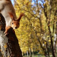 Доброго дня! :: Марсель Валеев