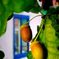 осень приближается :: Евгений Фролов