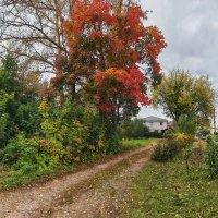 Александров :: Денис Бочкарёв Александров :: Денис Бочкарёв