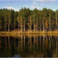 ...прекрасная пора... :: Aleksandr Gal