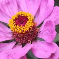 ,,, :: Сергей Тимоновский