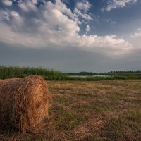 Природный парк Волго-Ахтубинская пойма :: Дина Евсеева