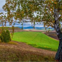 **** :: Алексей Мезенцев **** :: Алексей Мезенцев