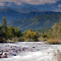 У подножия гор (Казахстан) :: Михаил Андреев