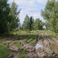 Летние дороги. :: сергей ермошкин Летние дороги. :: сергей ермошкин