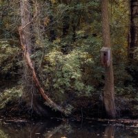 спокойствие :: Michel спокойствие :: Michel