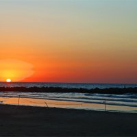 Хайфа 2025 :: Владислав Воровский 