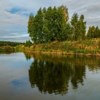 Цвет осени 5 :: Андрей Дворников