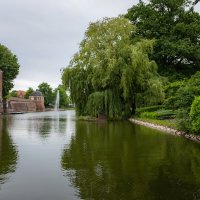 В конце весны... :: Николай Гирш