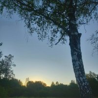 Рассвет :: Сапсан 