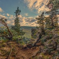 *** :: Аnatoly Gaponenko *** :: Аnatoly Gaponenko