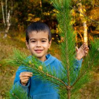 Осень :: Владимир VS