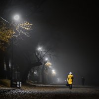 Осенняя прогулка :: Ирина 