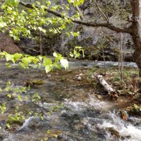 Горная река :: Рустам Кашапов