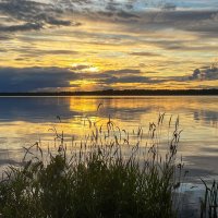 Желтый закат :: Galina Желтый закат :: Galina
