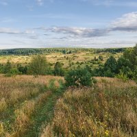 Лощинка :: Александр 