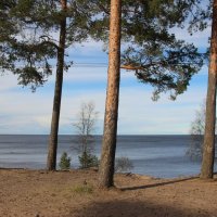 Ладожское Озеро :: Наталья Герасимова