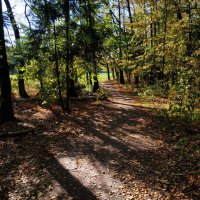 Бабье лето длинным не бывает :: Андрей Лукьянов