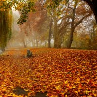Засыпан дивный парк листвой, пропитан солнцем день до дна, в осенней неге золотой под вязом дремлет :: Юрий. Шмаков