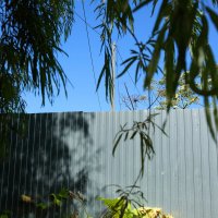 ... :: Денис Безногов