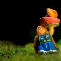 Про грибные истории.. :: Андрей Заломленков