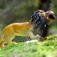 Мы в город изумрудный идём дорогой трудной...:-) :: Андрей Заломленков