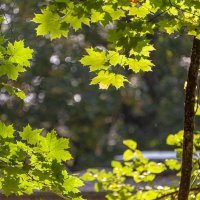 Сентябрь :: Валерий Иванович Сентябрь :: Валерий Иванович