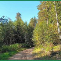 Дорога к дому. :: Ольга Довженко