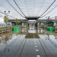 Дождь :: **** vedin Дождь :: **** vedin