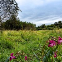 *** :: Владимир Безбородов