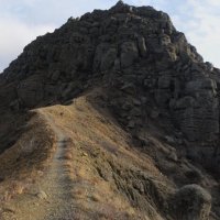 Природа Крыма :: Amazing Cosmea